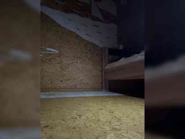 Pavlona Live Webcam on BongaCams