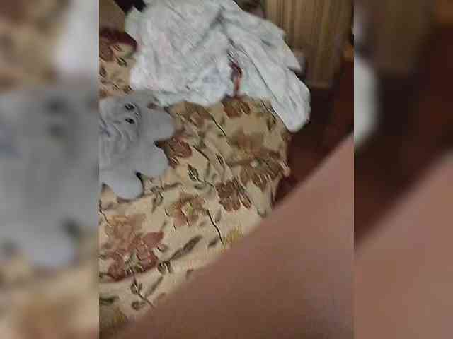 Kiska1177 webcam