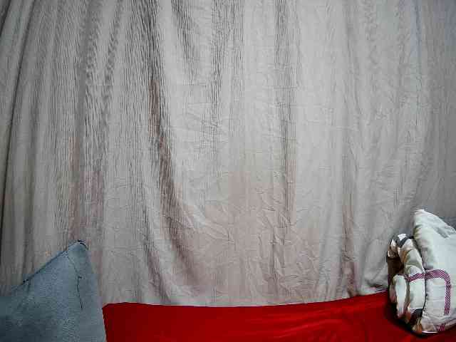 sweet-bunny-sweet webcam