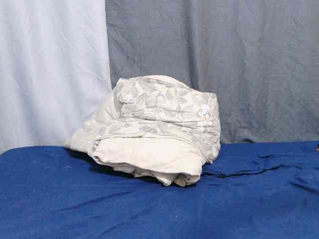 sweet-bunny-sweet webcam