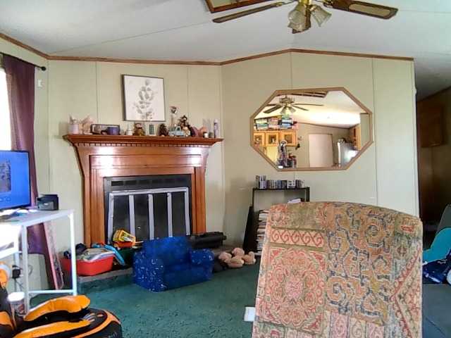 CarleeRay's BongaCams show and profile