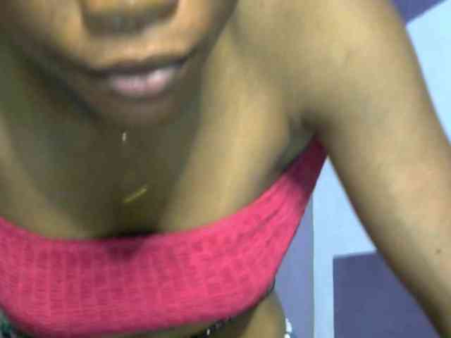sugarplum webcam
