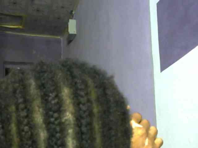 sugarplum webcam