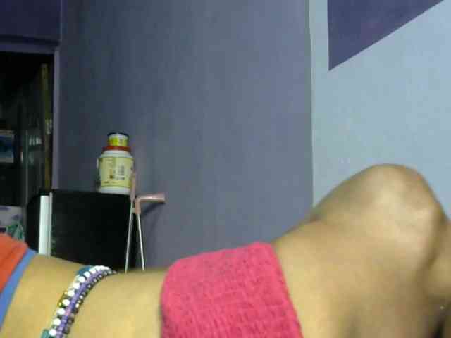 sugarplum webcam