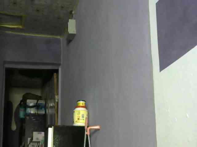 sugarplum webcam