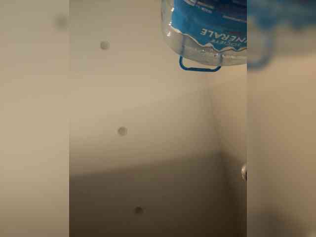 NOT_Bellucci webcam