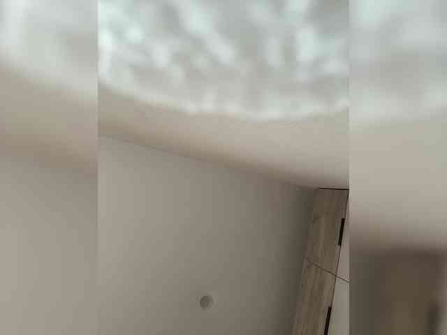 NOT_Bellucci webcam