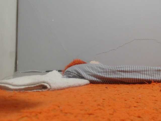 Sheila80's BongaCams show and profile