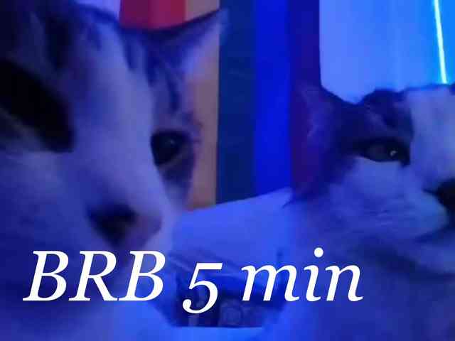 BettyBarnes webcam
