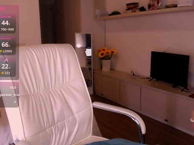Tilly-Eliot webcam