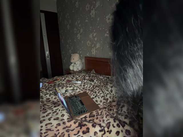 Plennica на boncams