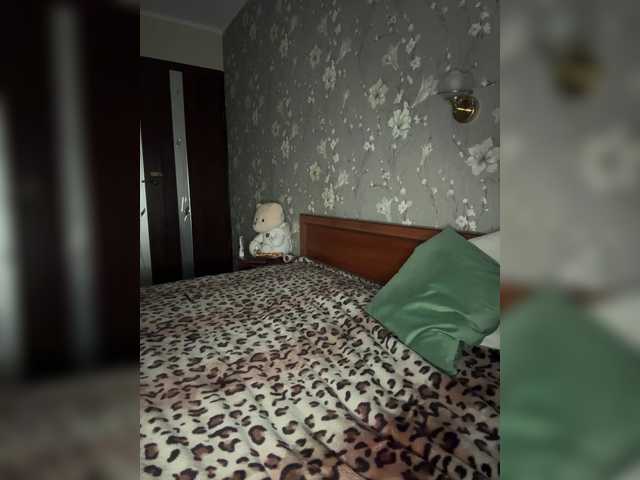 Plennica webcam stream