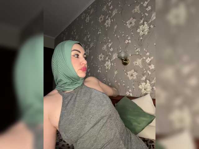 Plennica webcam stream