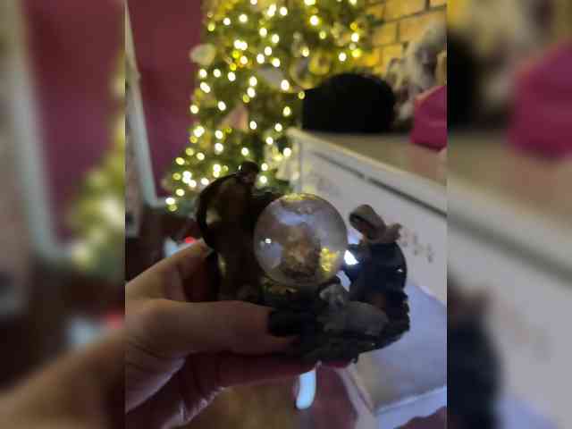 Kavkazkaya-Plennica webcam