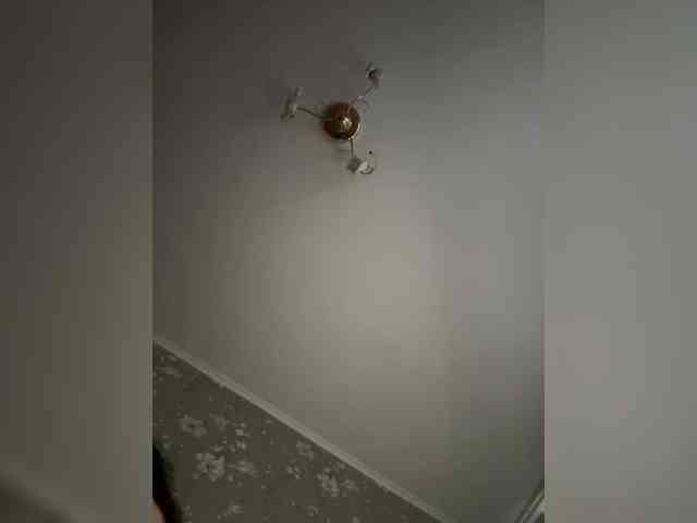 Kavkazkaya-Plennica webcam