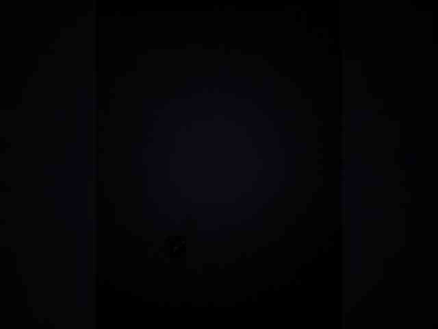 Plennica Live Webcam on BongaCams