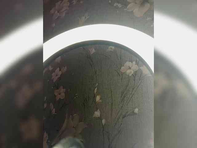 Plennica Live Webcam on BongaCams