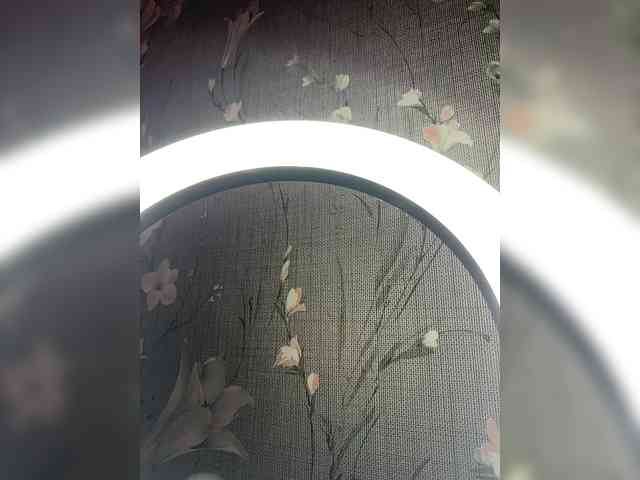 Kavkazkaya-Plennica webcam