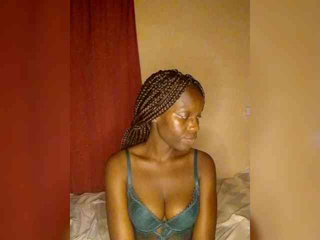 Shelan webcam