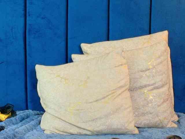 KIARATENTATION webcam