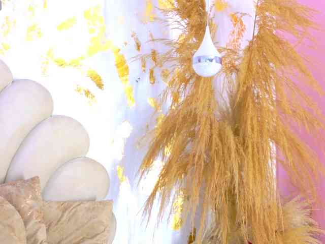 KIARATENTATION webcam