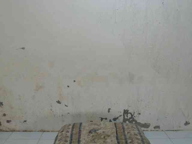 TsAmanda Live Webcam on BongaCams