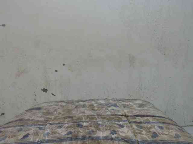 TsAmanda Live Webcam on {site_name}