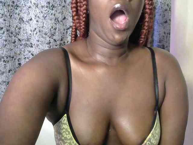 Sleekmellanin webcam