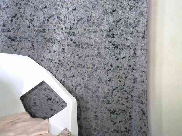 Sleekmellanin webcam
