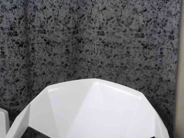 Sleekmellanin webcam