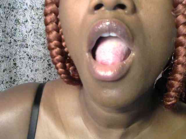 Sleekmellanin webcam
