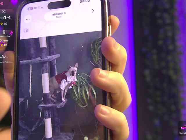 IsisQueenXXX IsisQueenXXX