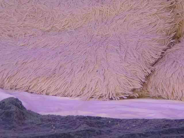 IsisQueenXXX IsisQueenXXX