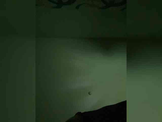 vityapupkin1 vityapupkin1