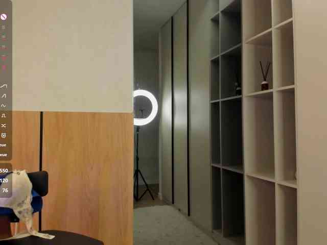 Xonalenei webcam