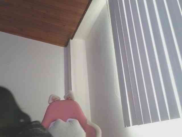 CrystalStarX webcam