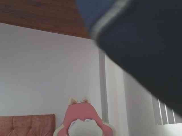 CrystalStarX webcam