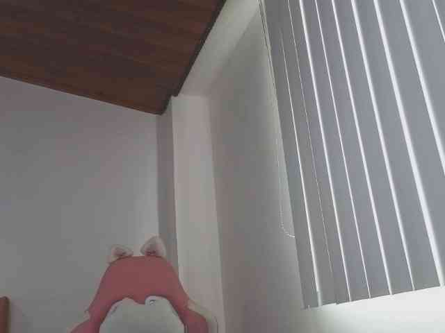 CrystalStarX webcam