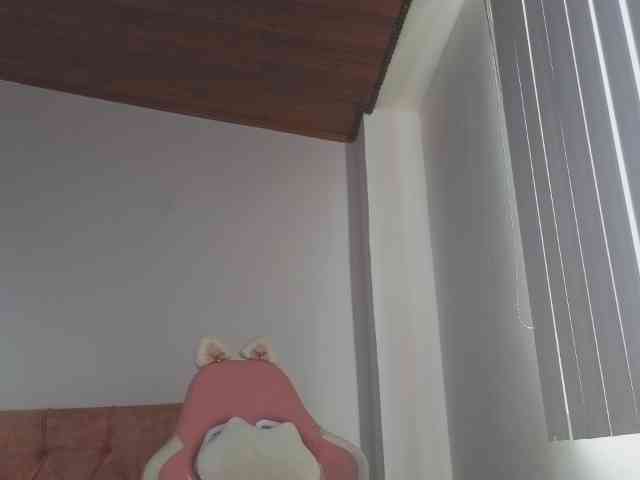CrystalStarX webcam