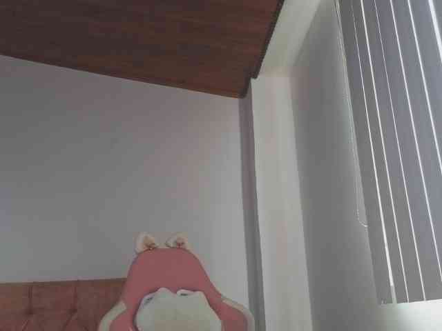 CrystalStarX webcam
