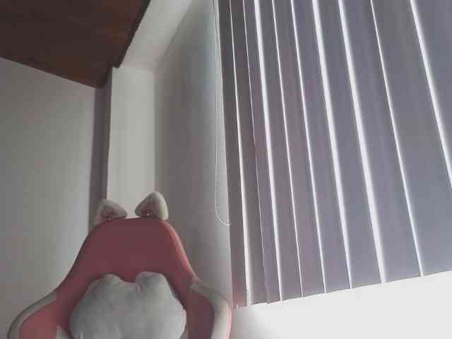 CrystalStarX webcam