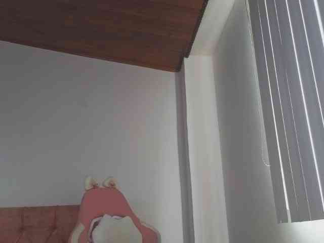 CrystalStarX webcam