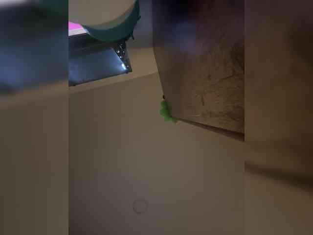 lailaatyler lailaatyler