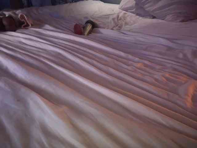 coupletoy97 coupletoy97