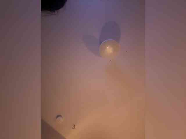 coupletoy97 Live Webcam on BongaCams