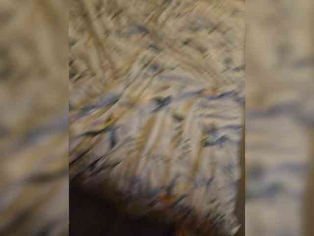 Lex1849 Live Webcam on BongaCams