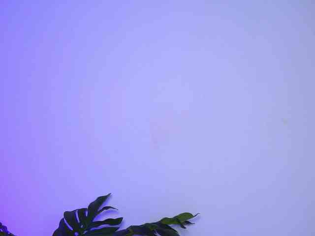 MayaHipnoteyes MayaHipnoteyes