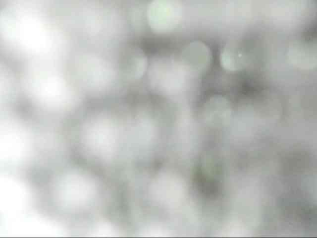 Toxicfantasy4u webcam