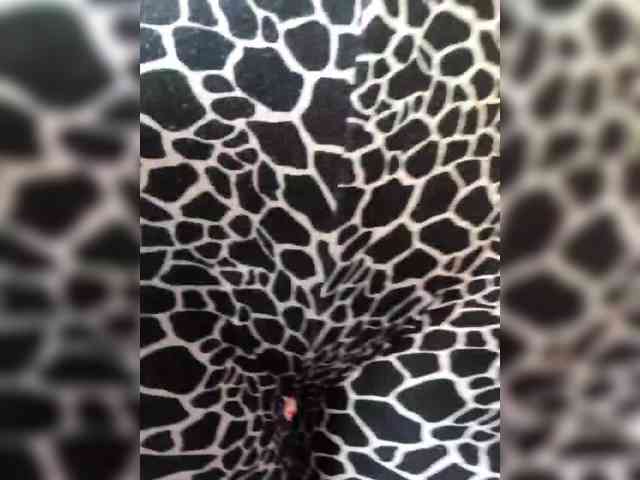 Cristinatina webcam