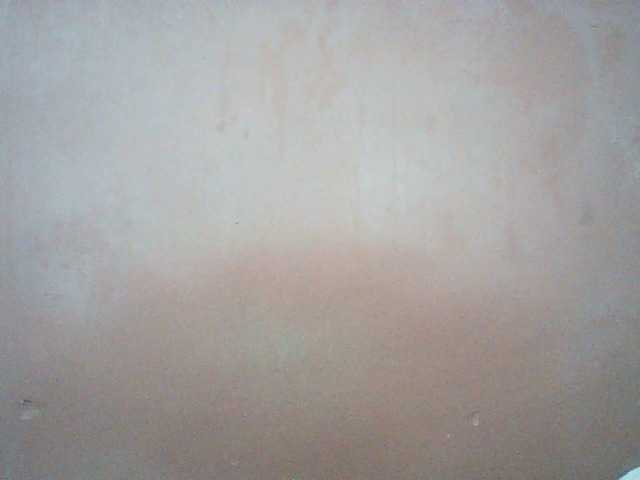 Preview of balanchega